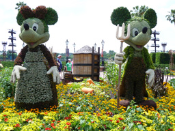 Holiday Snap